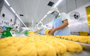 Vietnam’s carbon market takes shape, but real test lies beyond trading- Ảnh 5.