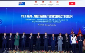 Vietnam, Australia seek greater impact from education cooperation - Ảnh 3.