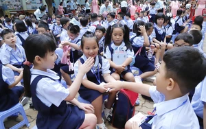 Homeschooling in Vietnam: Expat teachers weigh pros and cons- Ảnh 2.