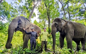 Elephants escort ‘Durian Queen’ at festival in Vietnam’s Central Highlands - Ảnh 5.