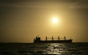 Corals show El Nino intensifying as planet warms: study - Ảnh 3.