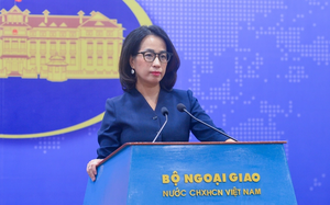 US ambassador to Vietnam pays tribute at Quang Tri Citadel- Ảnh 3.