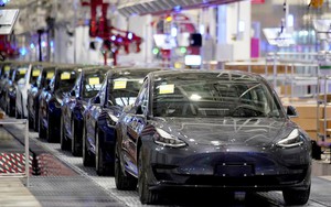 Elon Musk’s Tesla reportedly establishes company in Vietnam - Ảnh 1.