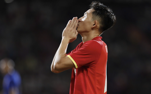 Card-happy UAE referee to take charge of Vietnam-Thailand ASEAN Cup final - Ảnh 2.
