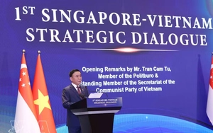 Key Vietnamese leader meets Singaporean President - Ảnh 2.