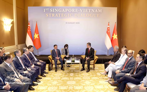 Vietnam, Singapore pursue resilient shared future - Ảnh 3.