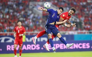 How Vietnam's naturalized heroes found their hearts in golden glory- Ảnh 1.