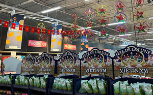 Vietnamese exporters should prepare for stricter EU pesticide residue rules: insider - Ảnh 4.
