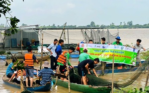 Large firms account for just 0.9% of enterprises in Vietnam’s Mekong Delta - Ảnh 1.