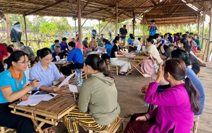 Ho Chi Minh City parents confused by growing number of English programs - Ảnh 2.