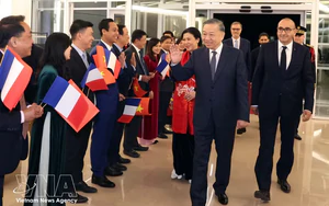 New investment opportunities for French firms in Vietnam- Ảnh 4.