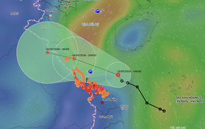 Tropical depression makes landfall, bringing heavy rain to north-central Vietnam - Ảnh 2.