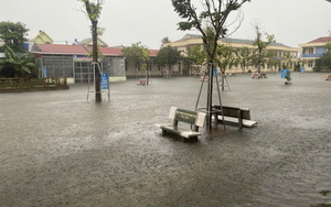 Rainfall in Vietnam’s Nghe An breaks 41-year record- Ảnh 5.