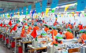 Vietnam’s needs, US strengths: Points of convergence for cooperation - Ảnh 8.
