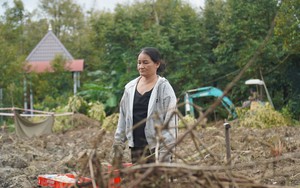 Why does Vietnam have higher durian output but generate lower value: official- Ảnh 3.