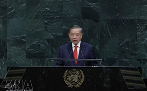 Top Vietnamese leader meets Timor-Leste, Swiss and Finnish Presidents in New York- Ảnh 3.