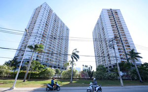Ho Chi Minh City seeks closer Singapore ties on administrative reform - Ảnh 4.
