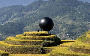 A rice harvest worth $1.35 in profit: Harsh reality for a Central Highlands farmer- Ảnh 6.