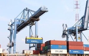 Vietnam-Malaysia trade surges 43.4 percent in eight months - Ảnh 3.