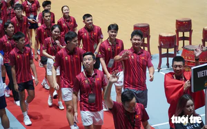 Da Nang grants free entry to Tien Son arena for Pickleball World Cup- Ảnh 3.