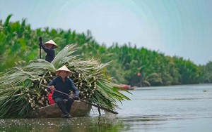 World’s most beautiful village: Hoi An's new tour targets high-end travelers - Ảnh 5.