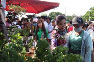 Phiên chợ 0 đồng dành cho người yêu cây xanh