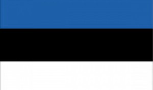 Vietnam PM meets Estonian firms, urges investment in digital, tech sectors - Ảnh 3.