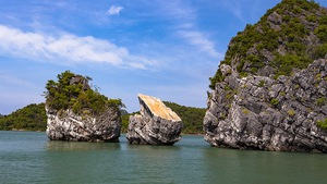 New species teem in Cambodia's threatened karst- Ảnh 3.