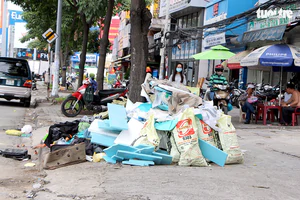 Ho Chi Minh City turns streets, bus stops into 'mini gardens' - Ảnh 9.