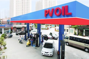Vietnamese auto firm aims to build 30,000 EV charging stations by 2030  - Ảnh 2.