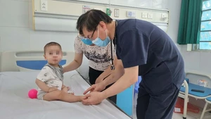 Doctors issue warning as Hanoi records first Japanese encephalitis case this year- Ảnh 1.