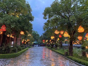 UNESCO delegation explores Trang An heritage complex in Vietnam's Ninh Binh - Ảnh 2.
