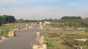 Ho Chi Minh City revives stalled safari park project  - Ảnh 2.