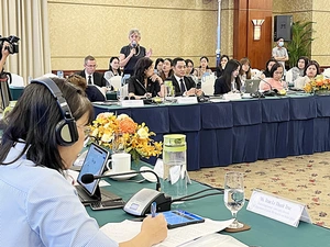 Vietnam proposes faster work permit processing for foreign experts- Ảnh 3.