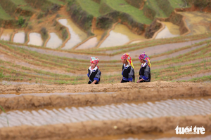 Mu Cang Chai homestay explains $3.8 motorbike taxi surcharge after online backlash - Ảnh 2.