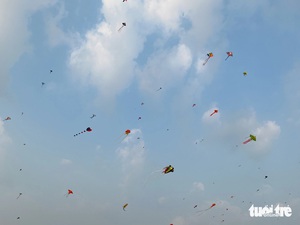 Giant kites fill Quy Nhon sky in south-central Vietnam- Ảnh 9.