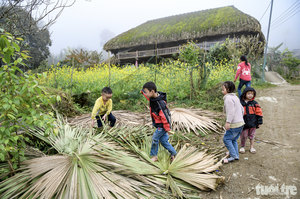 Trek to northeast Vietnam's ‘roof’ for distinctive terraced rice fields and moss-covered stilt houses- Ảnh 9.