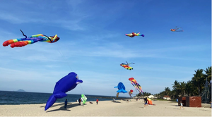 Giant kites fill Quy Nhon sky in south-central Vietnam- Ảnh 8.