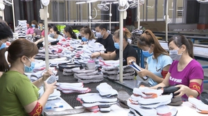 Auditor flags going concern risk for Vietnam’s 68-year-old Thuong Dinh Footwear- Ảnh 1.