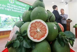 ‘Discarded’ part of pomelo helps Vietnam create globally praised dessert- Ảnh 6.