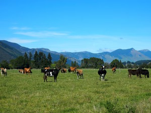 New Zealand pledges to reduce biogenic methane emissions by 2050- Ảnh 3.