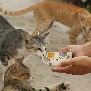 A hidden gem for pottery lovers: Inside Ho Chi Minh City's ceramics street - Ảnh 9.