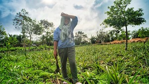 ADB chief Kanda seeks innovative solutions to uncertainties - Ảnh 1.