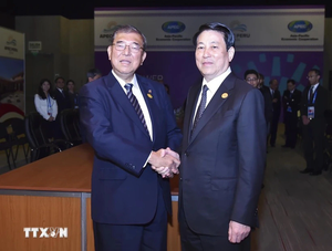 Vietnam’s state president to attend 32nd APEC Economic Leaders’ Week in South Korea - Ảnh 2.
