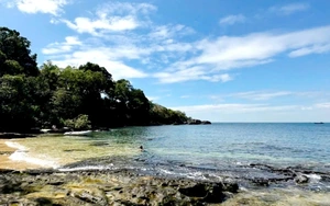 Dolphins delight visitors in Vietnam’s Cam Ranh waters - Ảnh 3.