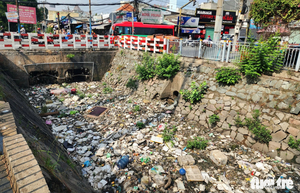 Nearly 20 tonnes of dead fish, waste removed from Ho Chi Minh City canal after first rains  - Ảnh 4.