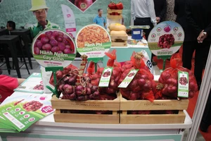 Vietnamese, Dutch experts discuss Mekong Delta’s sustainable aquaculture future- Ảnh 8.