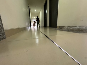 Magnitude-3.1 quake near Vietnam-China border rattles Lang Son- Ảnh 1.