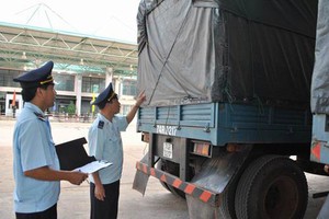 Ứng dụng AI để phát hiện gian lận thuế - Ảnh 8.