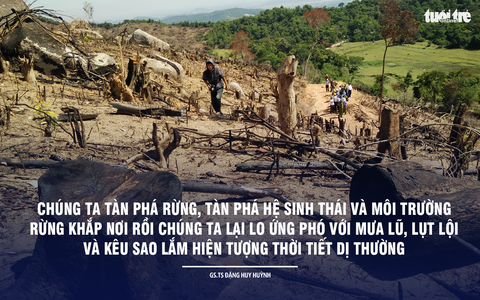 Thiên nhiên là nơi cứu sống mình - Ảnh 9. Thiên nhiên là nơi cứu sống mình - Ảnh 9.